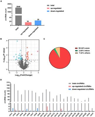 Identification of Functional CircRNA–miRNA–mRNA Regulatory Network in Dorsolateral Prefrontal <mark class="highlighted">Cortex Neurons</mark> of Patients With Cocaine Use Disorder